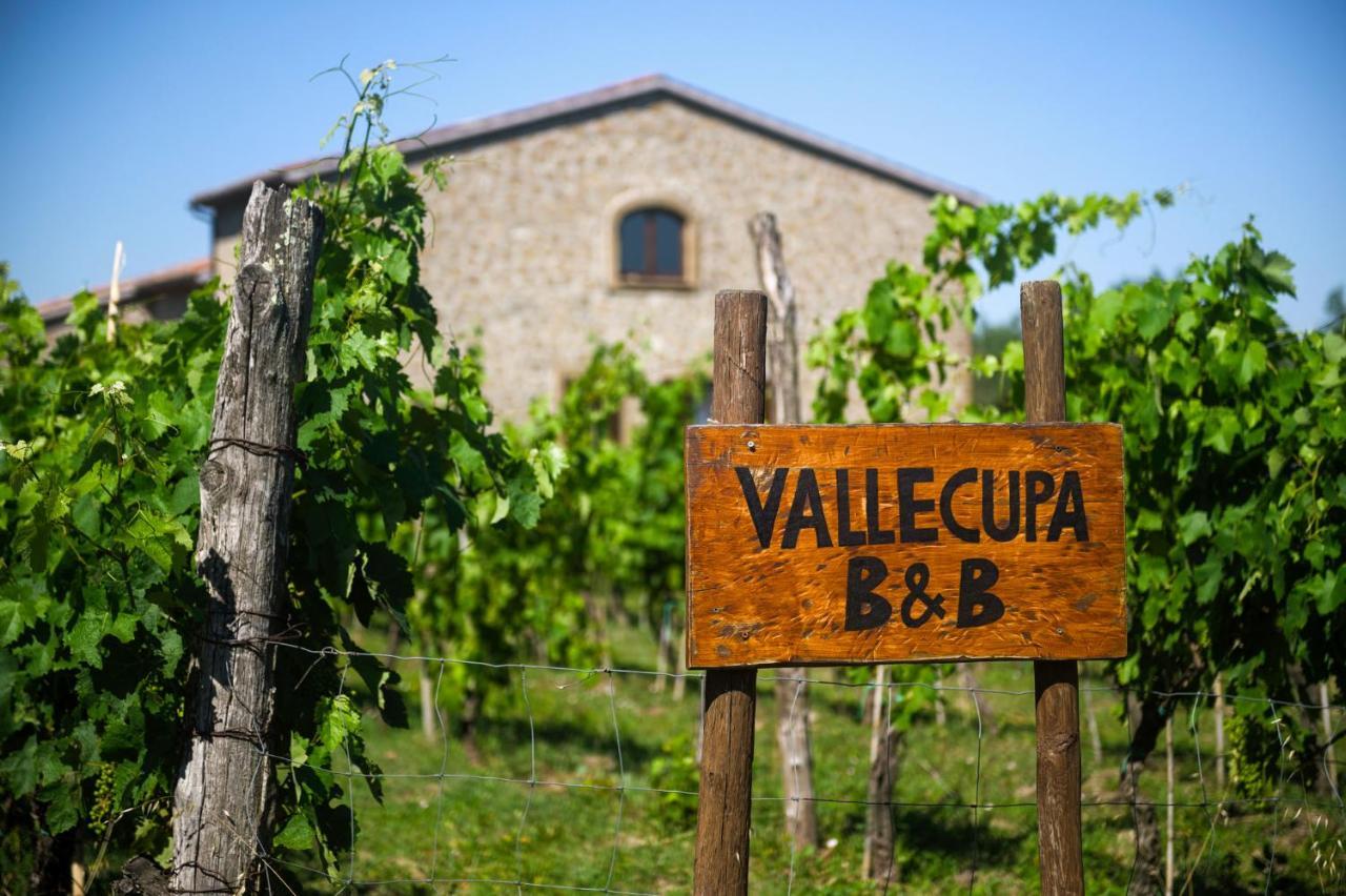 B&B Vallecupa Farnese Exterior foto