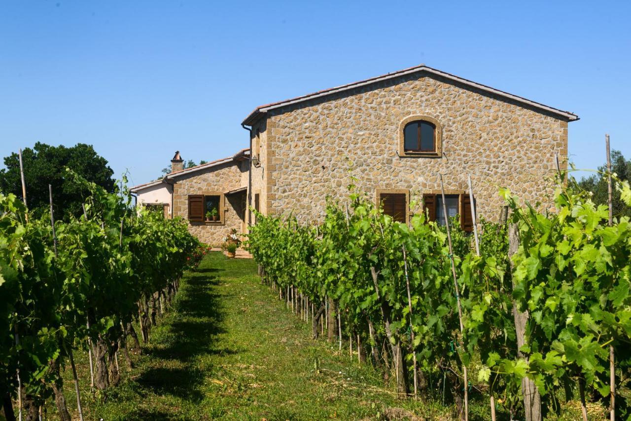 B&B Vallecupa Farnese Exterior foto